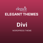 DIVI WordPress Themes