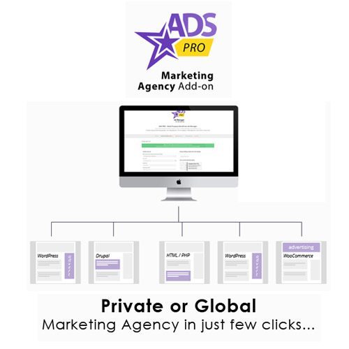 ads-pro-add-on-wordpress-marketing-agency