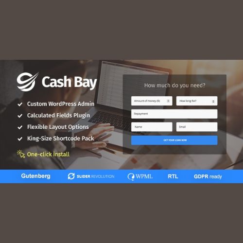 Cash Bay - Banking and Payday Loans WordPress Theme