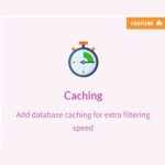 FacetWP – Cache