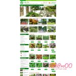 Web mẫu – Shop bán cây Xanh 2