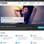 MyThemeShop Point Pro WordPress Theme