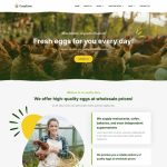 CoopFarm – Poultry Farm Elementor Template Kit
