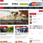 MyThemeShop Report WordPress Theme