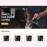 Alluring Ecommerce WordPress Theme