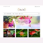 Blog Vlog WordPress Theme