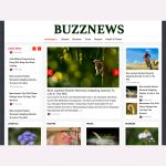 BuzzNews WordPress Theme