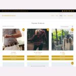 Ecommerce Saga WordPress Theme