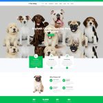 Education 33 Html Template