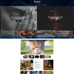 Education 34 Html Template