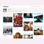 Gridzone WordPress Theme