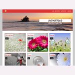 Live Portfolio WordPress Theme