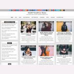 MintWP WordPress Theme