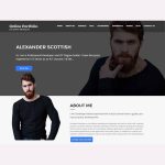 Online Portfolio WordPress Theme