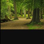 Photography 21 Html Template