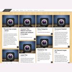 Pinbin WordPress Theme