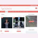 Zen Shop Store WordPress Theme