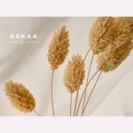 Askka – Candle Shop