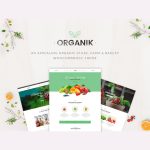 Organik – Organic Food Store WordPress Theme